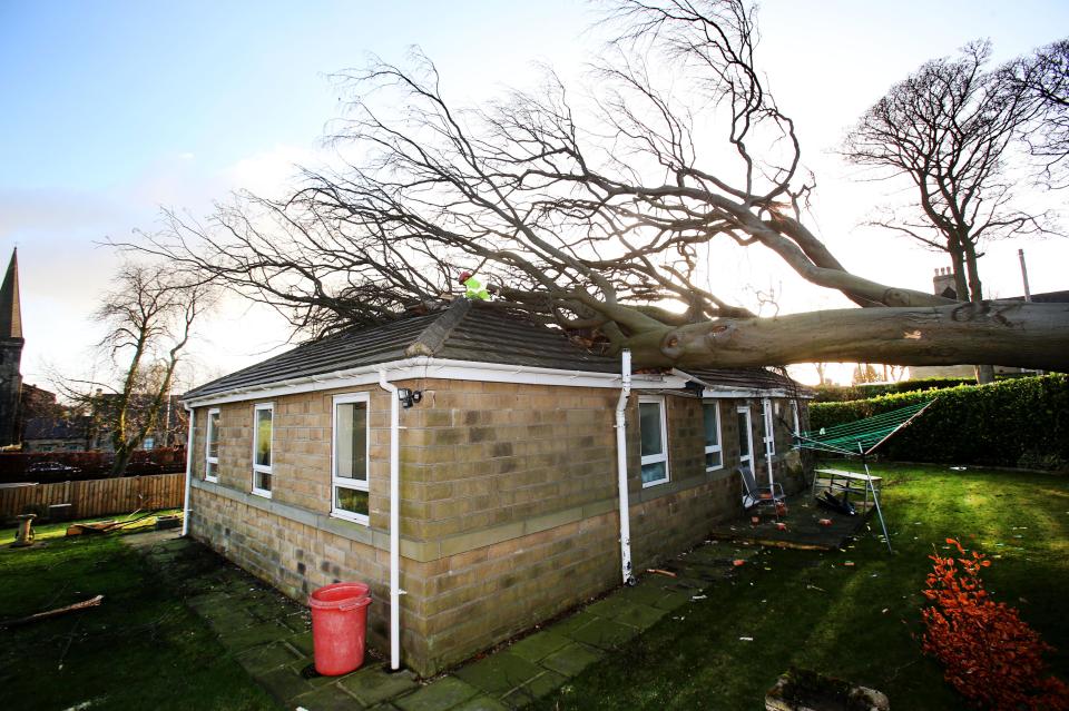  This tree came down on a house in Birkenshaw, leaving the owner with a hefty repair bill