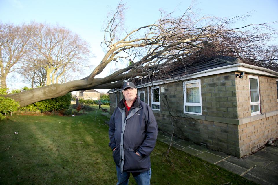  A bungalow rented by Les Mairs, pictured, has been left with a estimated £100,000 worth of damage after strong winds caused a tree to fall through its roof