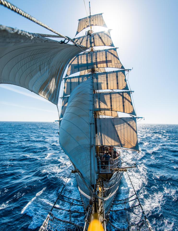  Andrew Orr travelled on the Bark Europa, which was built in 1911