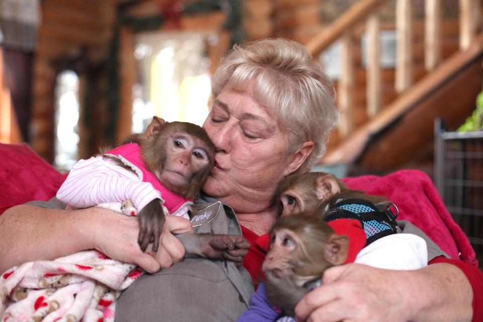  All of the creatures that Pinky has taken into her home have been victims of animal abuse