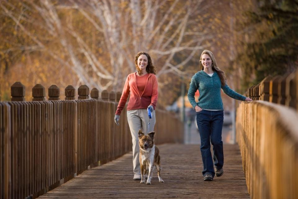  Gentle exercise like dog walking is just as effective as intense gym sessions, scientists claim