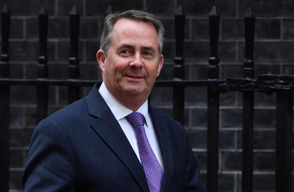  Liam Fox says countries are lining up to do trade deals with us after we leave the EU