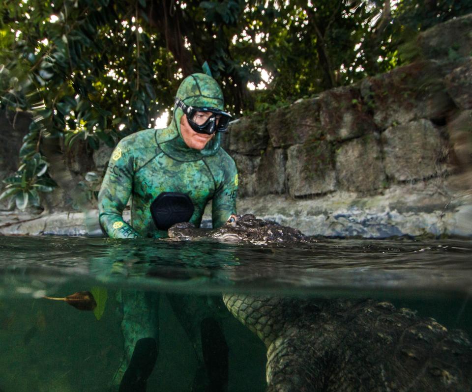  Mich­ael Dornellas took the snaps at the Everglades Outpost Wildlife Rescue