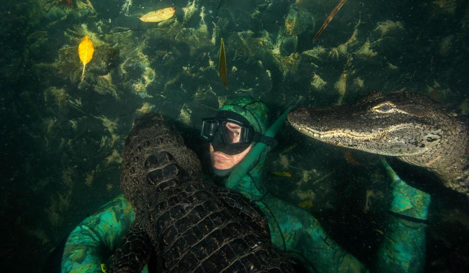  The photographer took the incredible shots in Fort Lauderdale, Florida