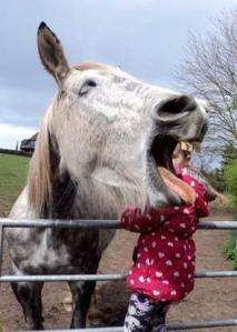  Caroline Elmhurst, of Notts, sent in a snap of her daughter, 10-year-old Eloise, as she tried to pet a horse, but the horse ruined the shot by yawning and blocking out her face