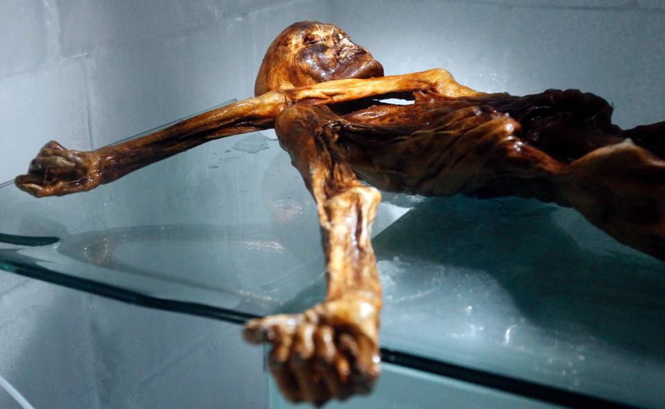  Otzi was discovered on 1991 in the Italian Schnal Valley glacier