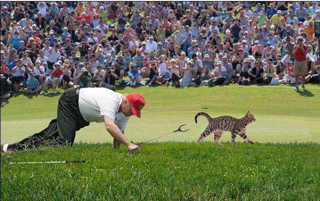  Trump hunts down a cat in a reference to his 'locker room talk' comments