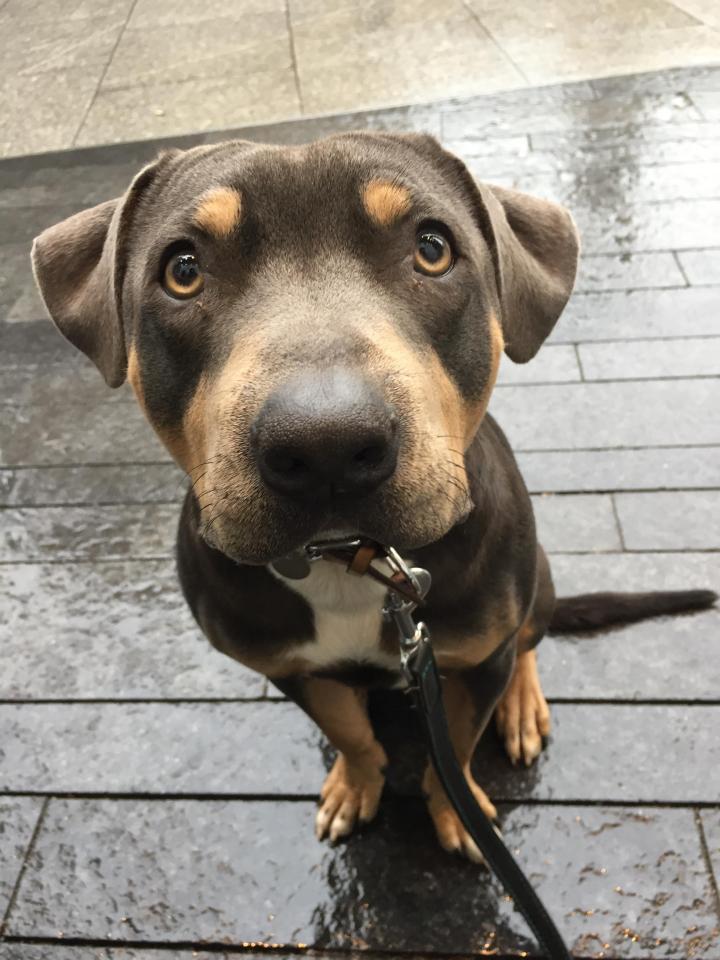  How could you not like Mondays? Those chocolate eyes are so sweet