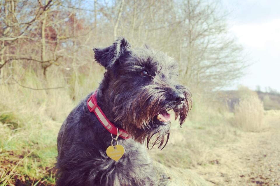  Delightful Daisy is picture perfect in this idyllic setting