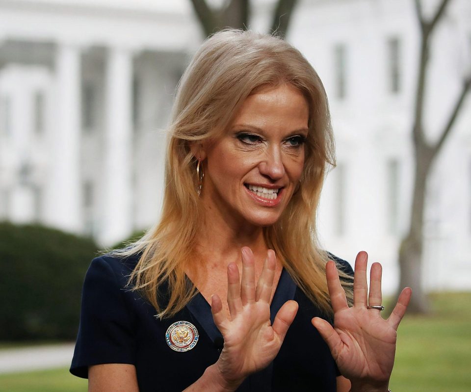  Kellyanne Conway said the white House secretary presented 'alternative facts'