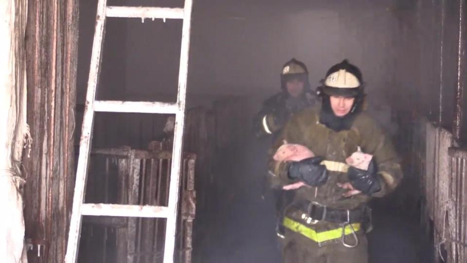  A firefighter can be seen emerging from the smoke-filled barn in Siberia