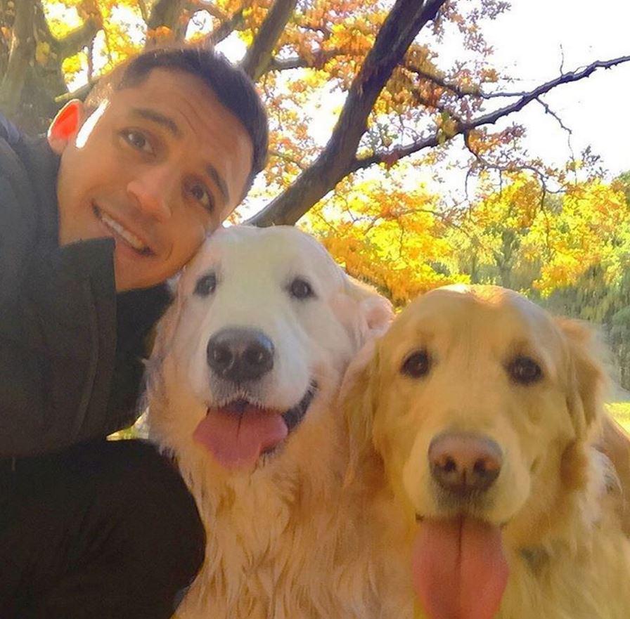  The Arsenal star is a renowned animal lover who frequently shares pictures with his golden retrievers