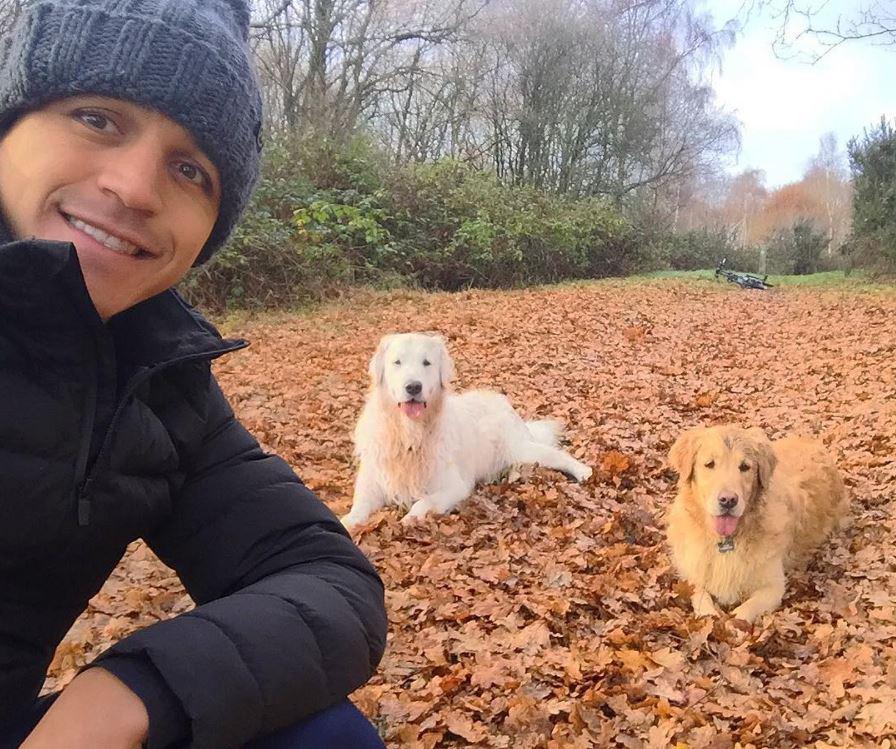  Chilean TV commentator Claudia Schmitd said: 'I know Alexis a little and can assure you he likes dogs more than women'