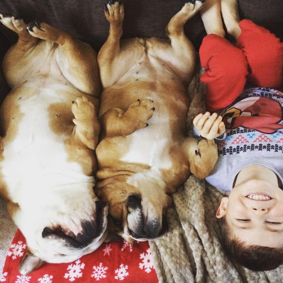  Marley's pals won't let sleeping dogs lie - they insist on joining him