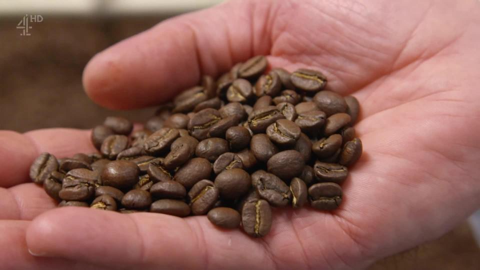  Keeping coffee in the fridge can change the taste of the drink