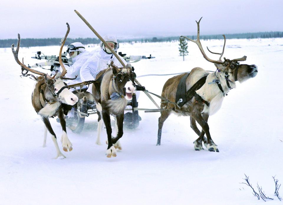  The military exercises include learning to ride reindeer sleds