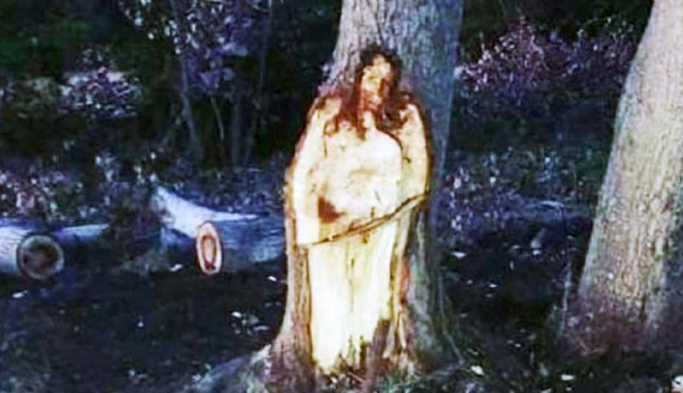  The outline of a figure resembling Jesus has been found on the stump of a tree in the town of General Las Heras in Argentina