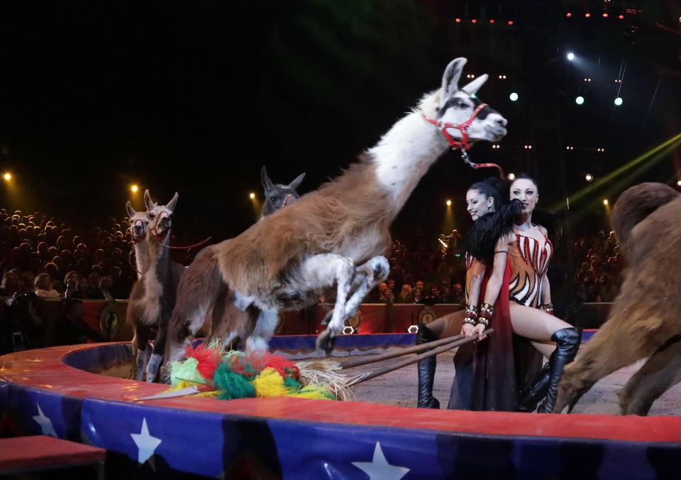  Marek Jama troupe dazzle with its sure-footed skill