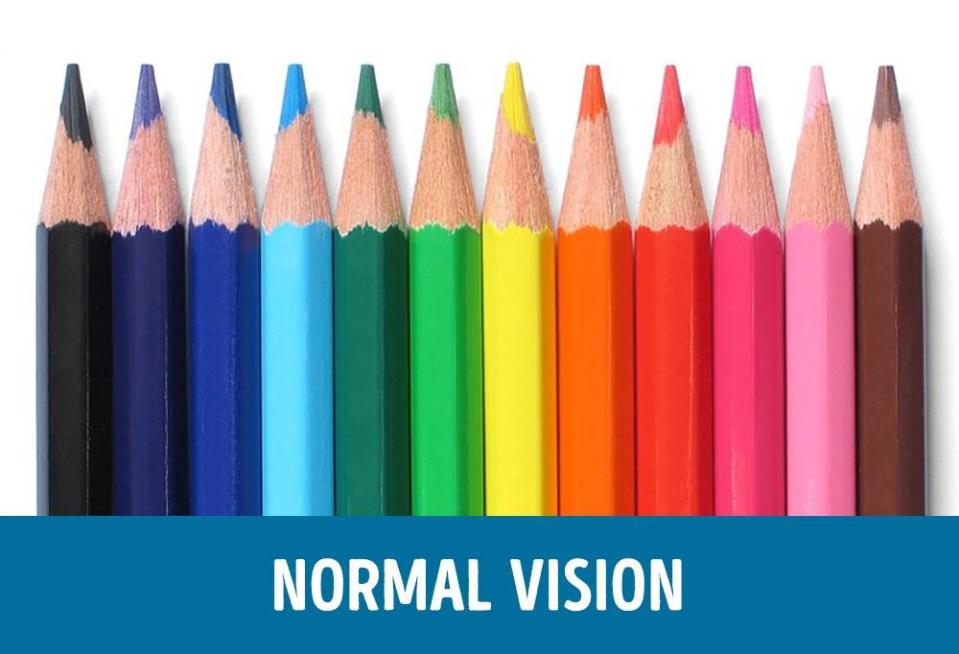  This is how a person with normal vision sees the colours of the rainbow