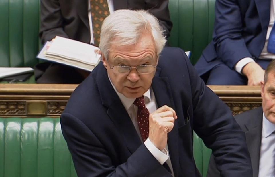  David Davis says pro-EU MPs risk breaking the trust of the British voters