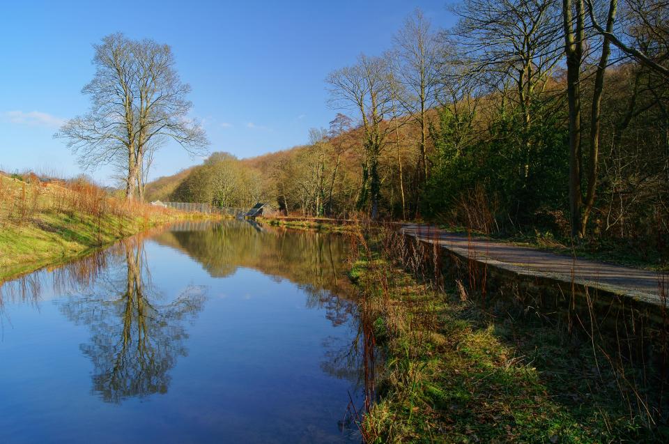  A body has been found in Bingham Park, Sheffield, this morning