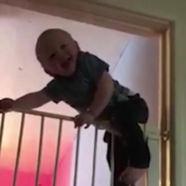  The cheeky little chappy managed to scale the gates designed to keep him in his bedroom