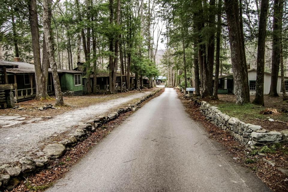  The photographer said people are often 'amazed' at how beautiful a derelict cabin can be