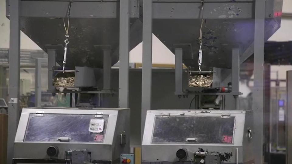  Incredible footage shows inside the Royal Mint headquarters - where the UK's coins are made