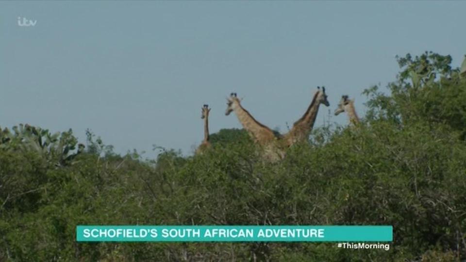  Phil could barely contain his excitement as they watched the animals in awe