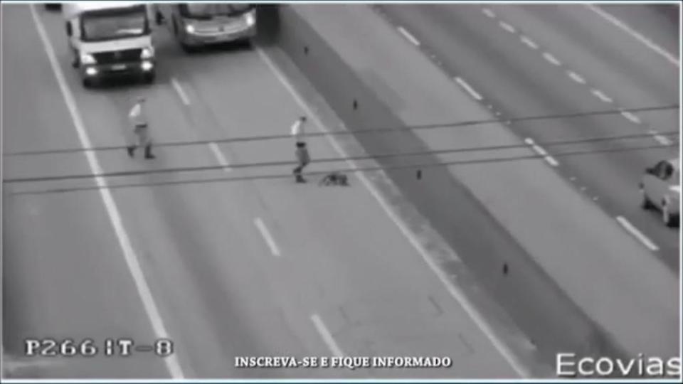  In a rather half-hearted effort the police chase the monkey across two lanes on the motorway for more than an hour