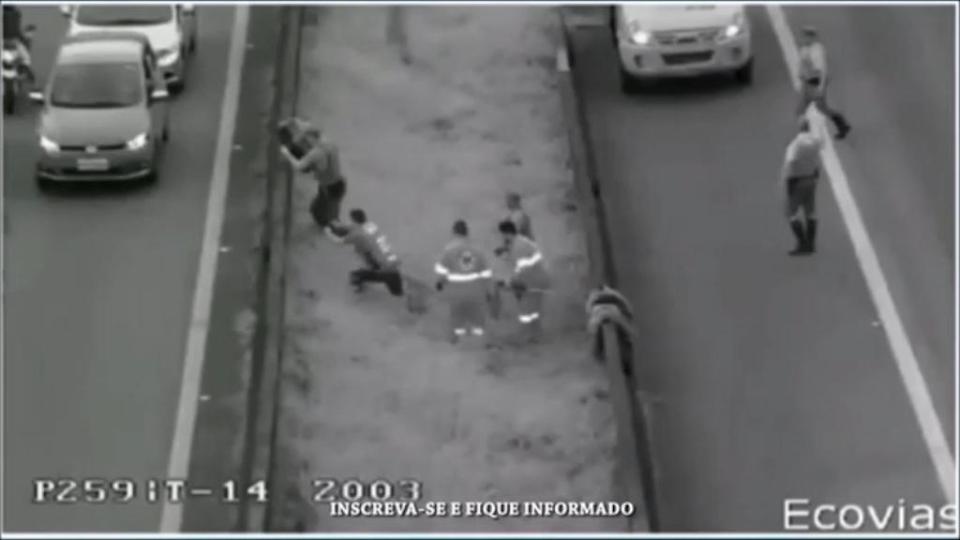  Eventually, after a large team of people became involved, the monkey is captured and removed from the motorway