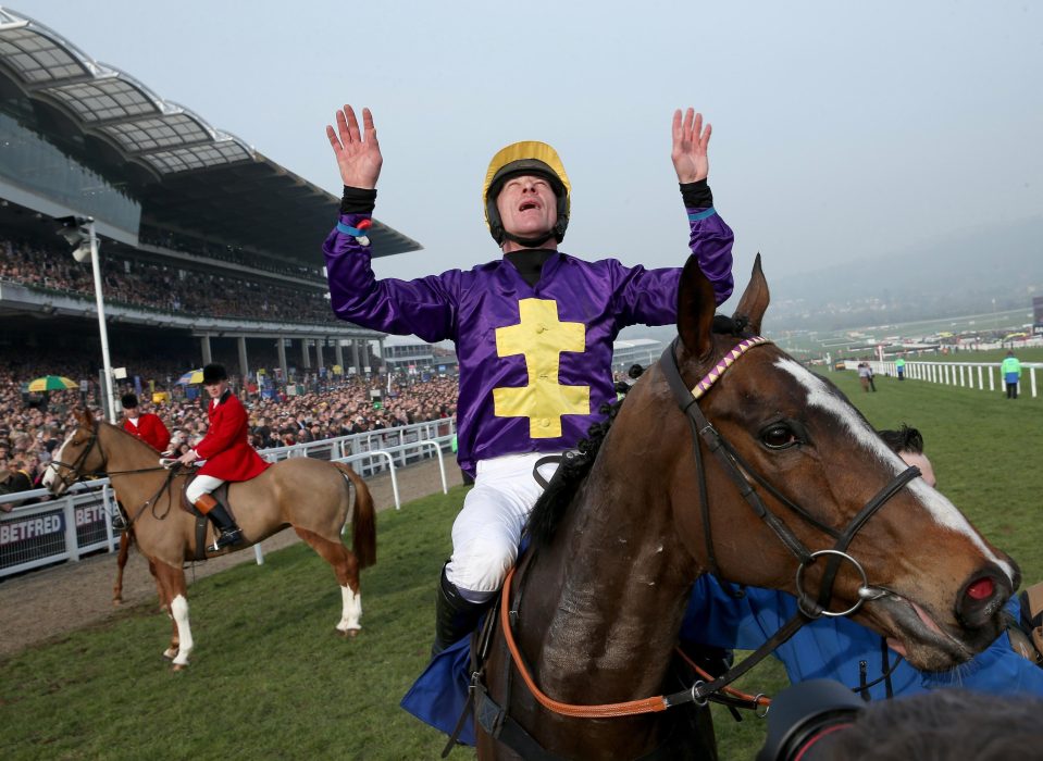  Lord Windermere won the Gold Cup in 2014