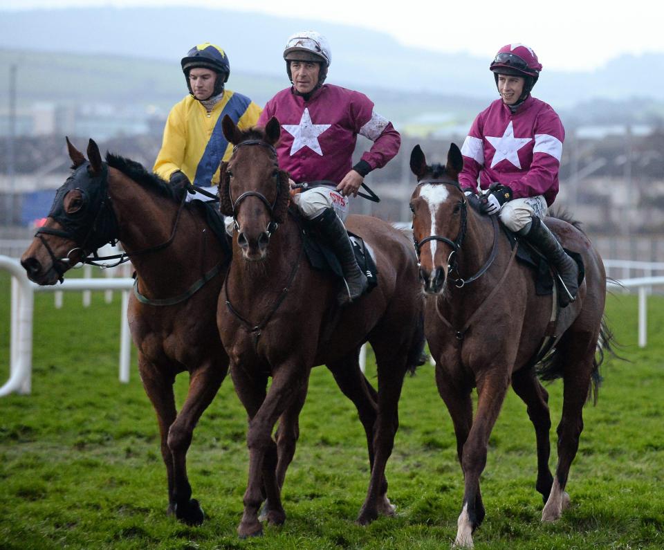  Foxrock (left) and First Lieutenant (centre) head a classy field at Thurles