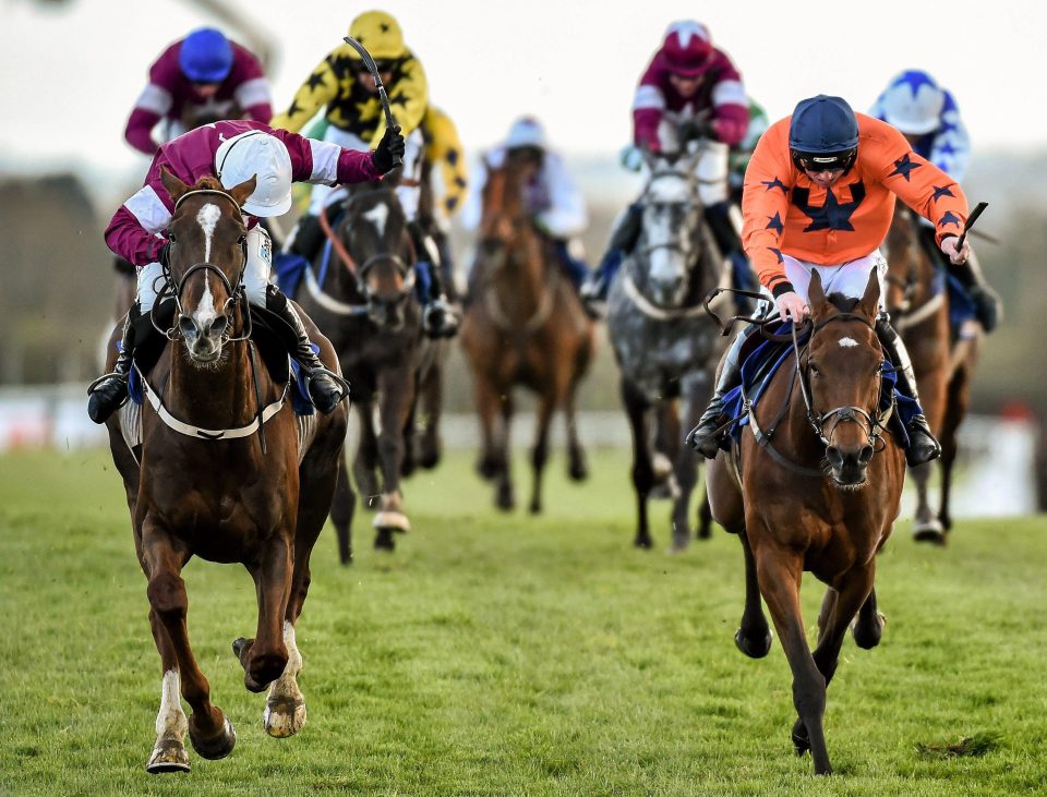  Moon Racer (right) will run in the Champion Hurdle