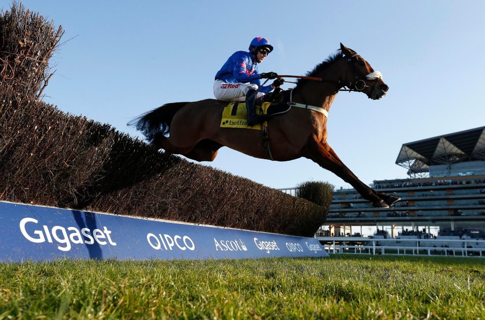  Cue Card bounced back to his best on Saturday