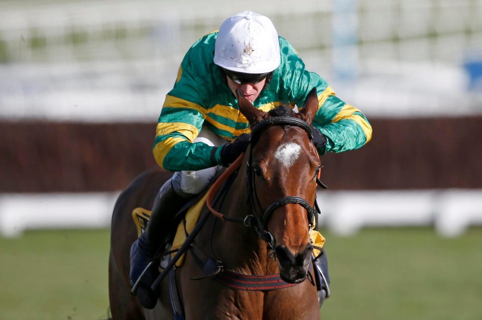  Defi Du Seuil is a big absentee from the Cheltenham card