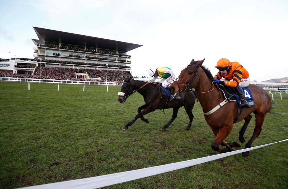  Many Clouds, left, tragically died after he beat Thistlecrack in the Cotswold Chase