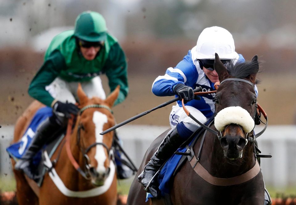  Nicholls believes Zubayr will relish the challenge of the Betfair Hurdle