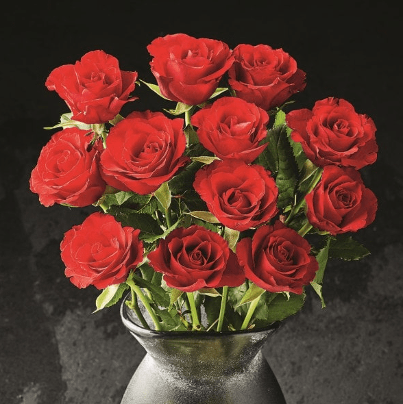 Morrisons’ bunch of 12 red roses went on sale for £5 at the weekend