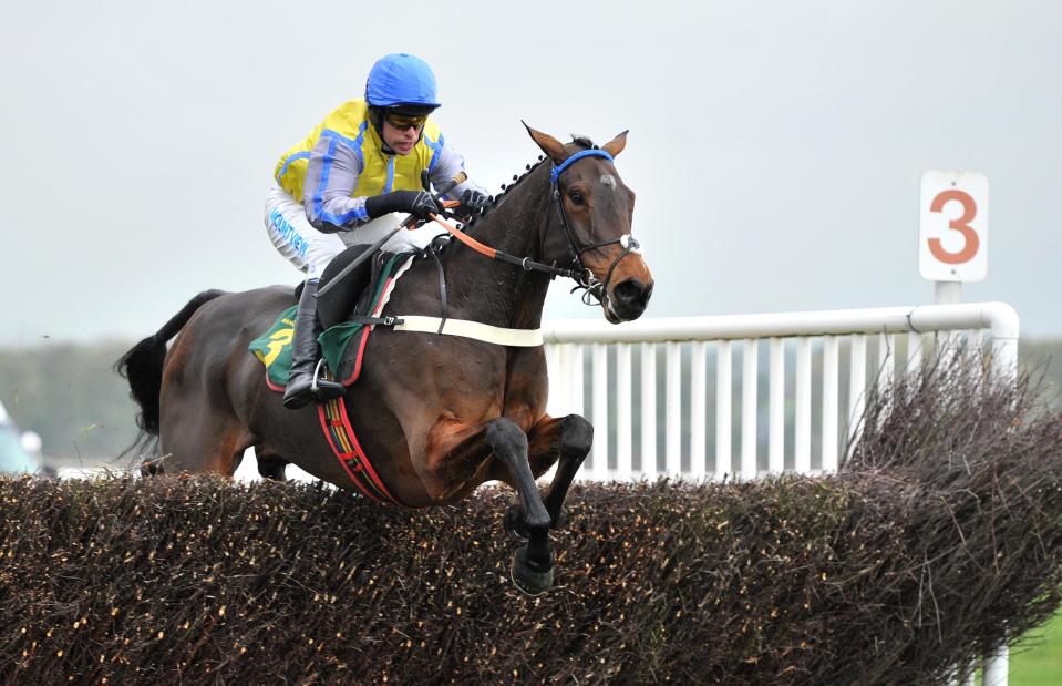  Peddlers Cross ridden by Timmy Murphy on their way to winning The Golden Bear Beginners Chase at Bangor-on-Dee