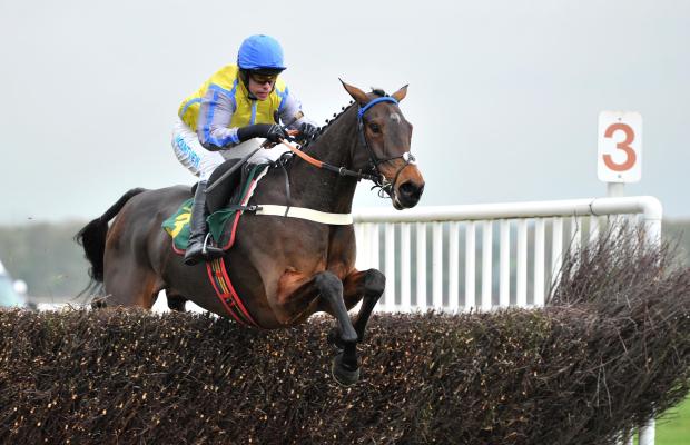 Peddlers Cross ridden by Timmy Murphy on their way to winning The Golden Bear Beginners Chase at Bangor-on-Dee