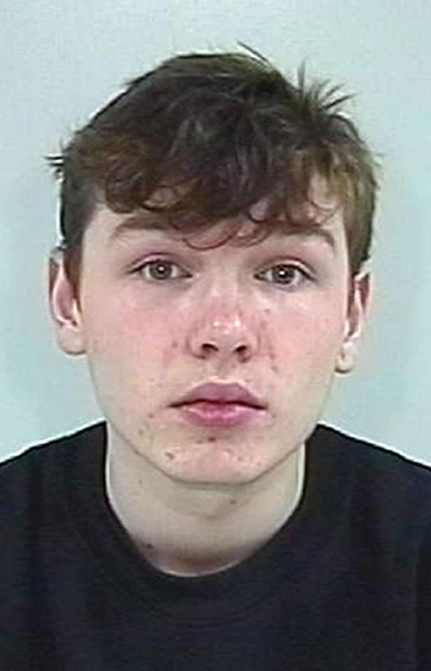 William Cornick was 15 when he carried out his meticulously planned murder, and had told other students he was going to stab Spanish teacher Ann Maguire