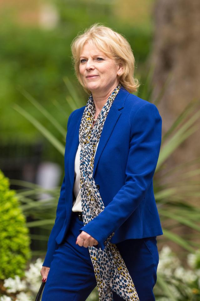  Conservative MP Anna Soubry says she might vote with Labour on one of their amendments