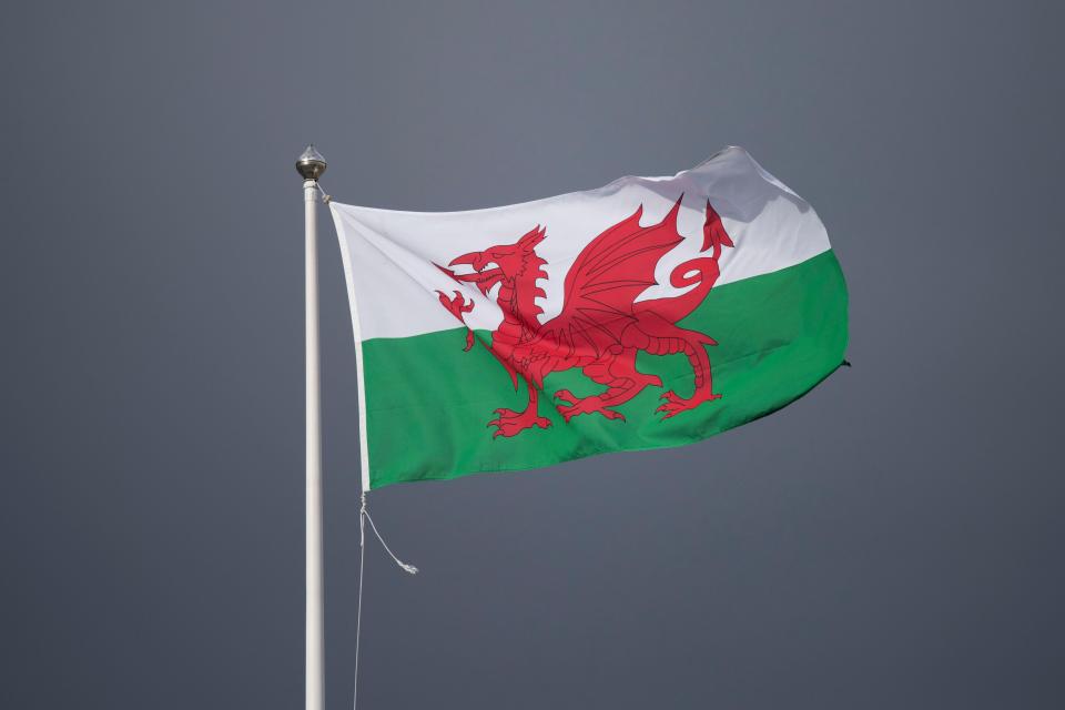  St David is the patron saint of Wales and St David's Day is celebrated every year on March 1