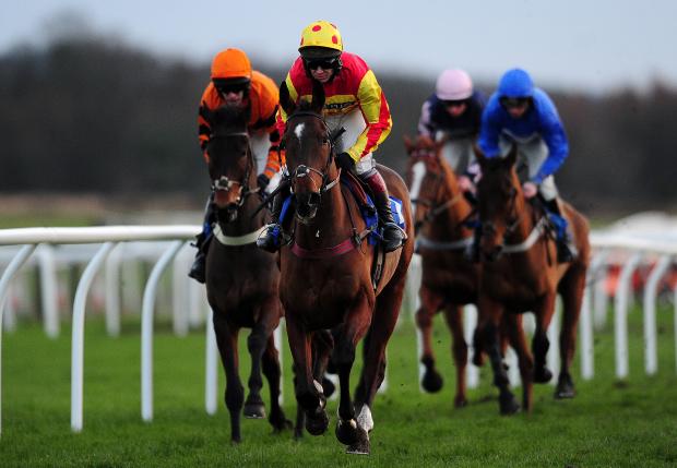 Westend Story ridden by Richard Johnson(C) on their way to winning the Bathwick Tyres Taunton Intermediate Open NH Flat Race at Exeter Racecourse