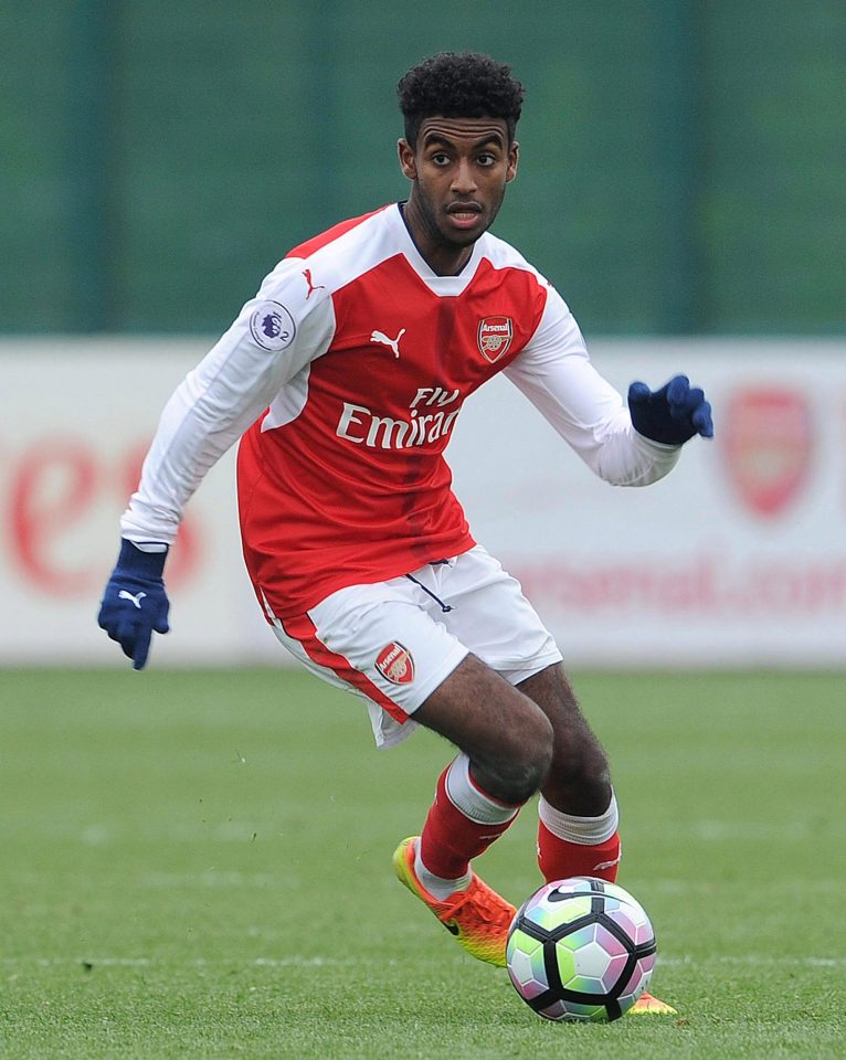  German-born Zelalem seems to fit the player profile Monchengladbach are interested in of Premier League starlets frustrated by lack of opportunities