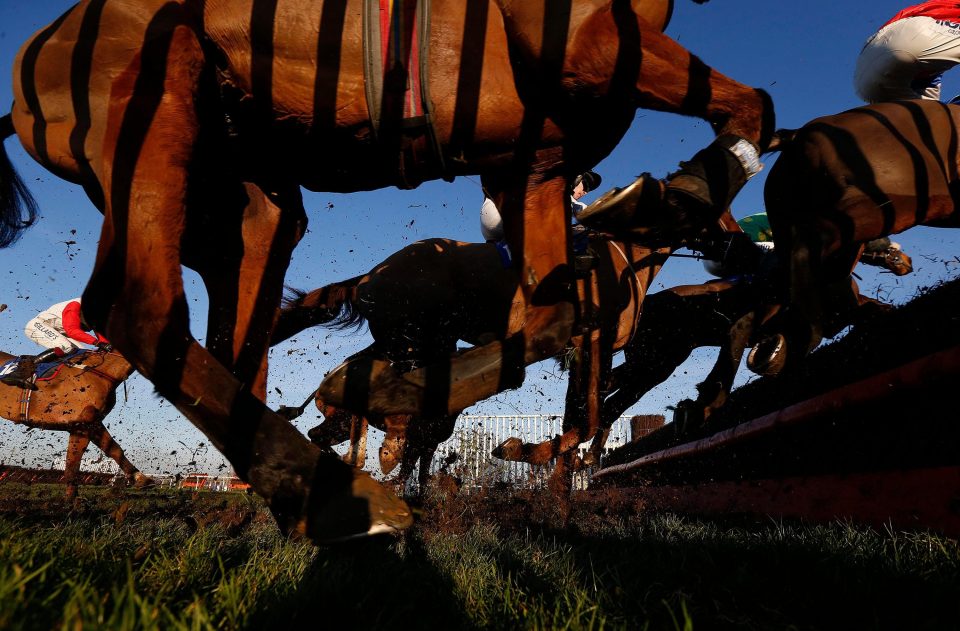  The shadow of the wing of the fence shows on the side of a runner as it jumps the chase fence in front of the grandstands at Wincanton Racecourse