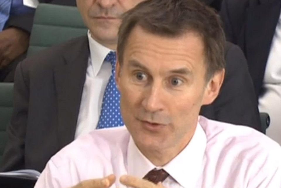  Health Secretary Jeremy Hunt says overseas visitors must make a contribution when using the NHS