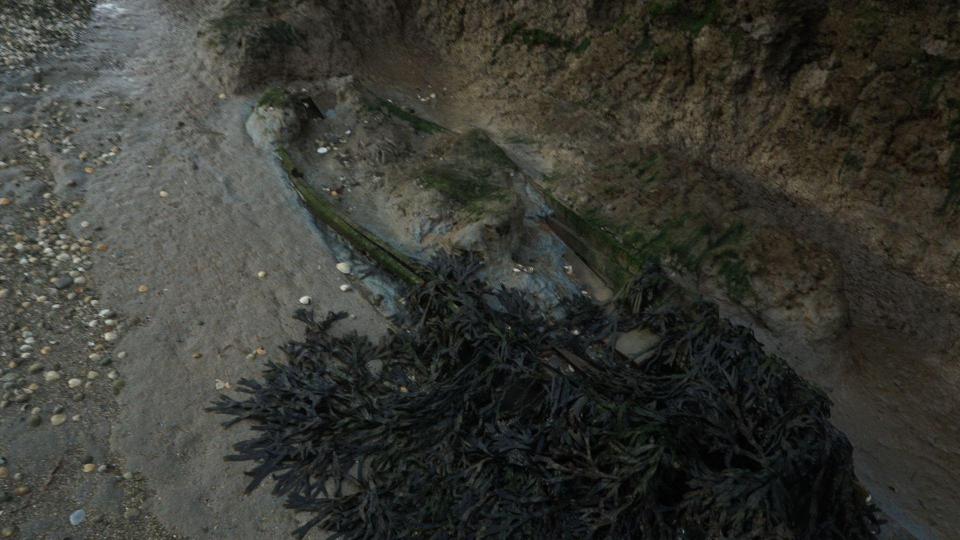 A coffin found covered in seaweed