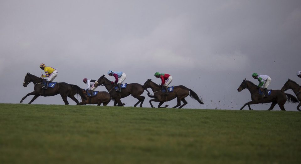  Runners round the course at Wincanton